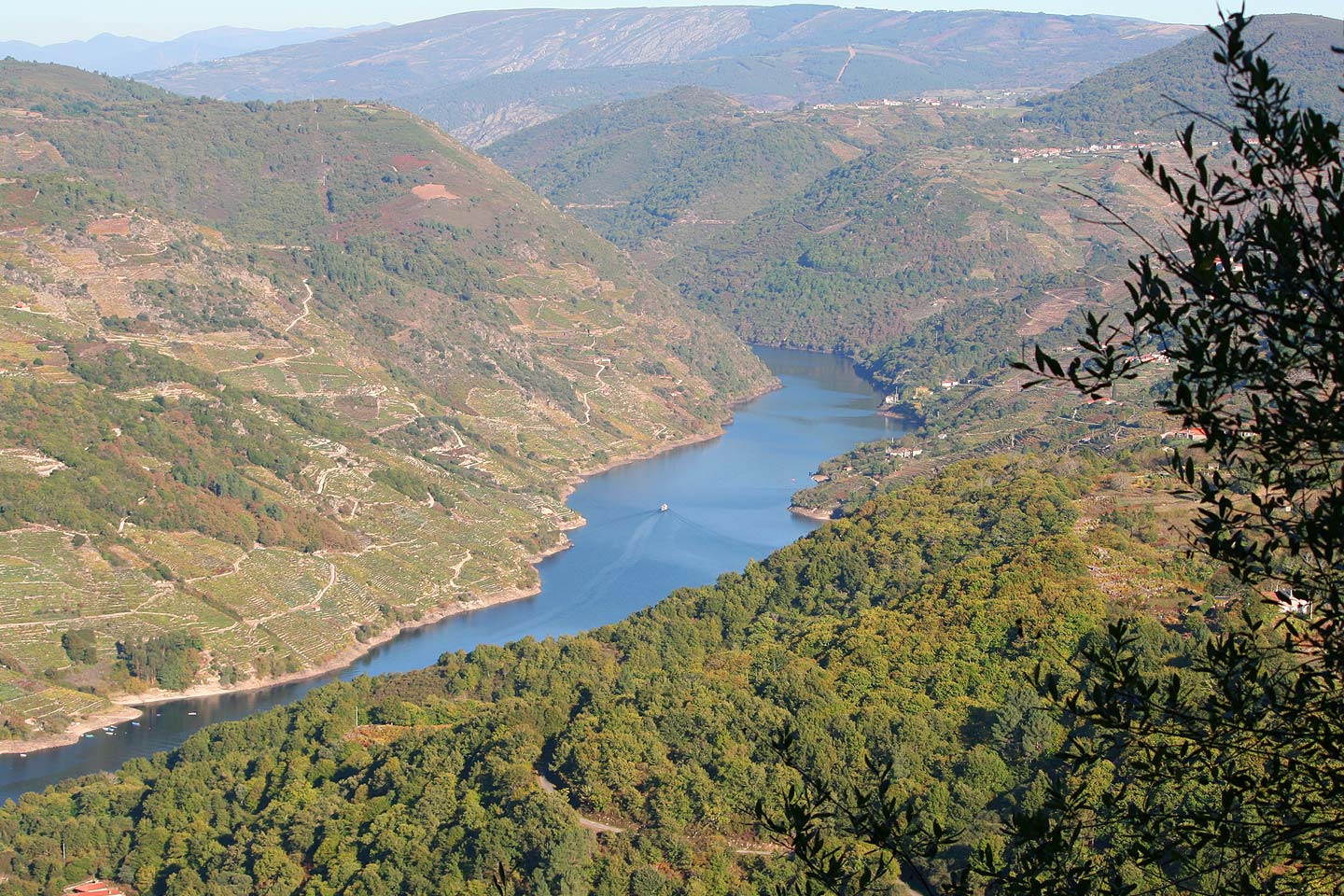 Ribeira Sacra